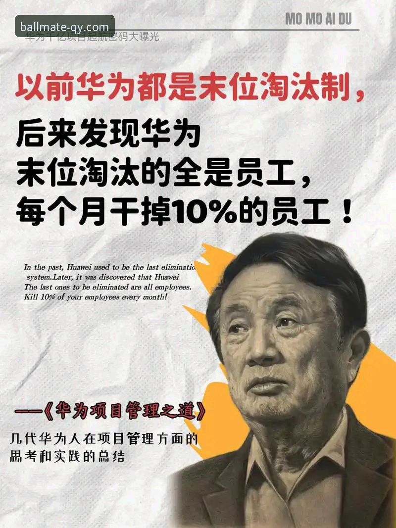 千亿球友会APP官网下载与使用完整指南：从安装到观赛的全流程解析